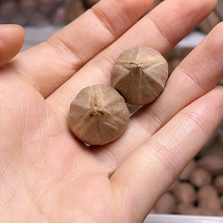 老***伯橄榄核手串/手链素核