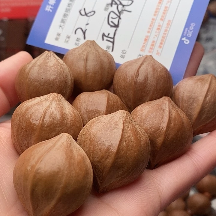 手串/手链橄榄核【****室