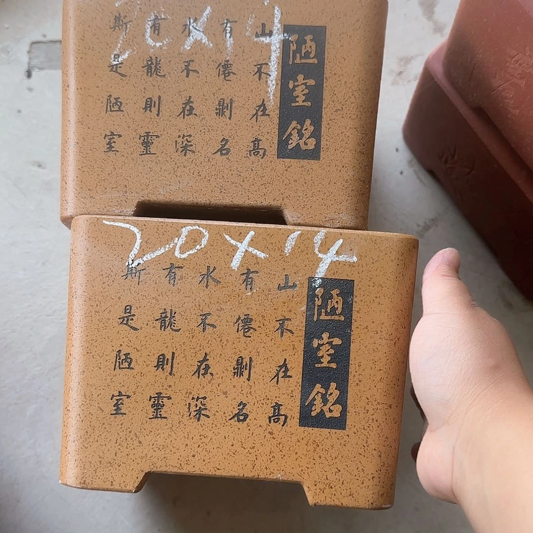紫砂花盆这是我第一