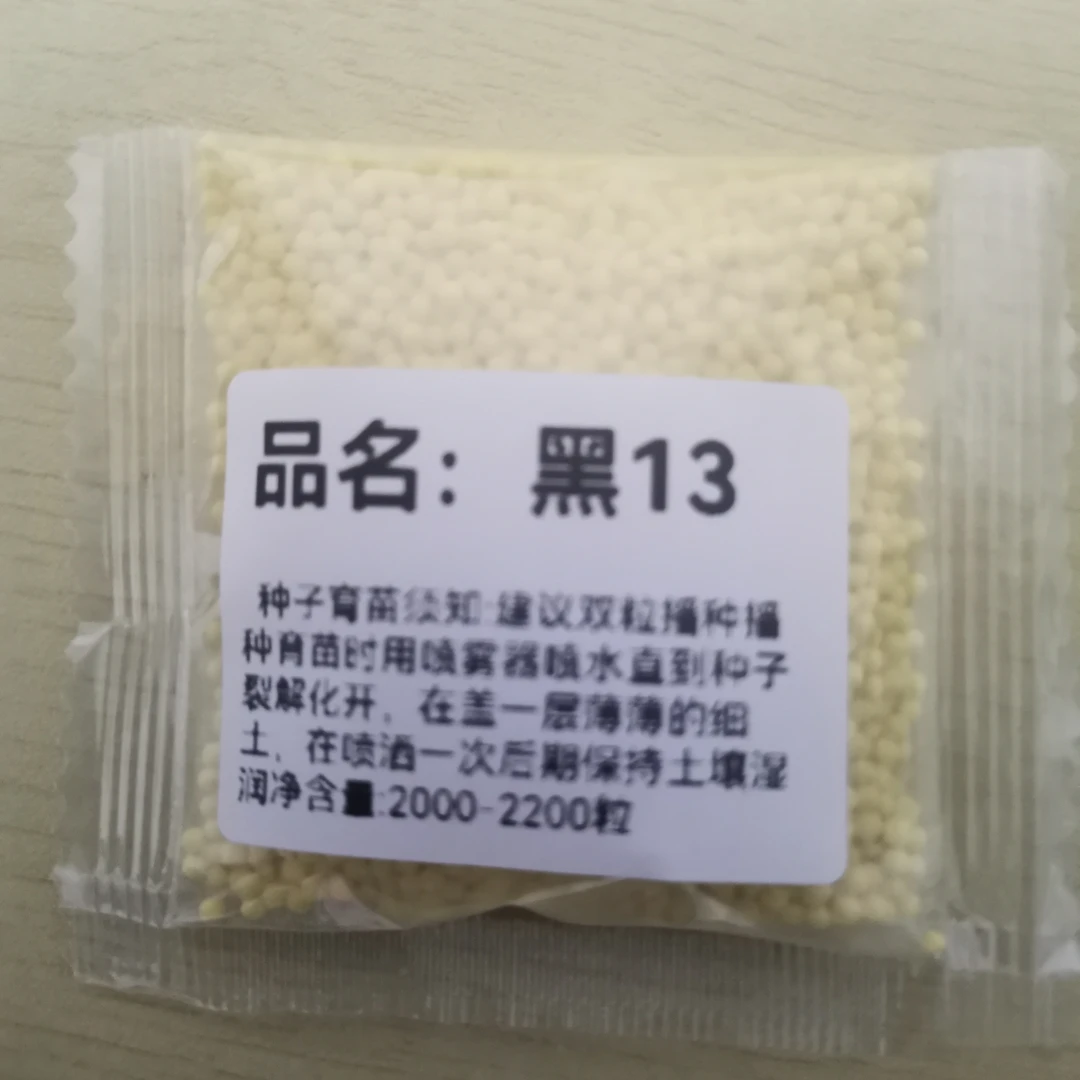 黑13产量高耐病易烘烤2400以下海拔都适合种植(K)