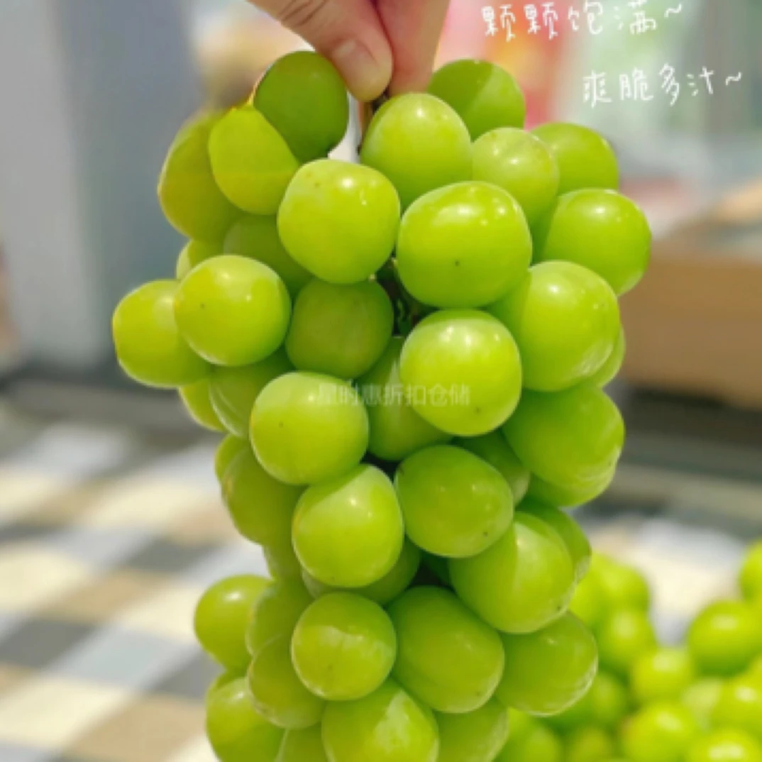 【塑料筐】晴王阳光玫瑰葡萄1筐(带框约8~9斤)3~4串云南省