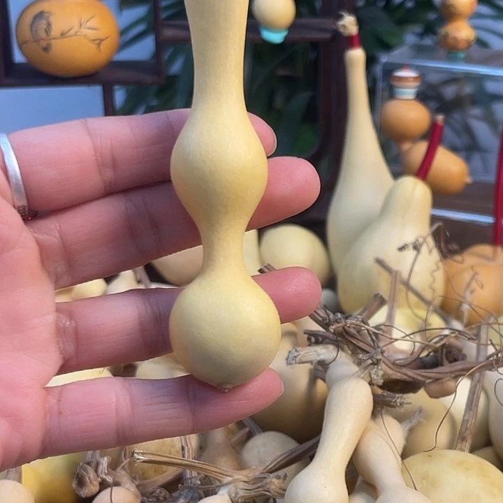 王***博藤手把精品葫芦杆子