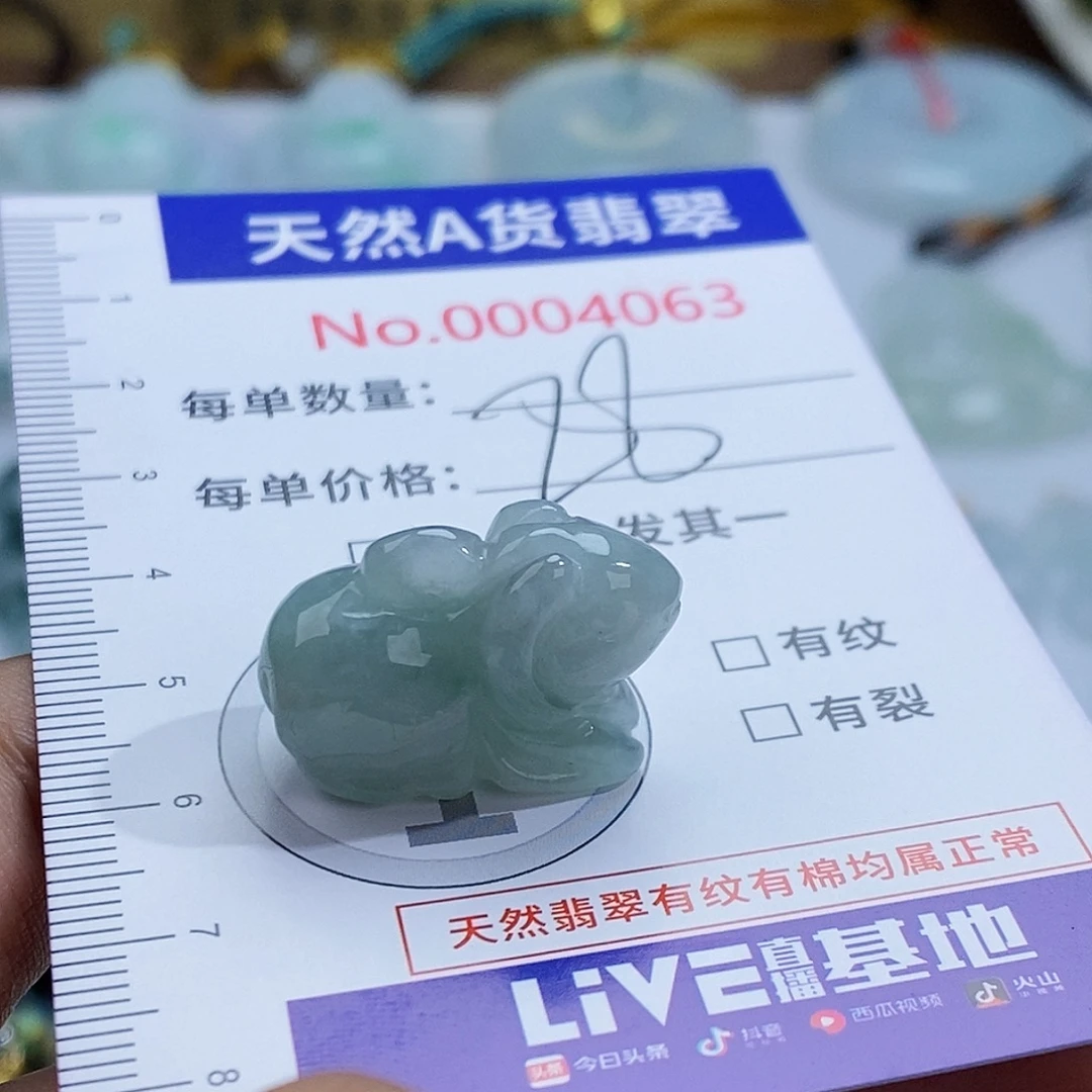 翡翠未镶嵌颈饰4063