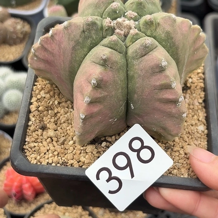 398。     脱土发货
