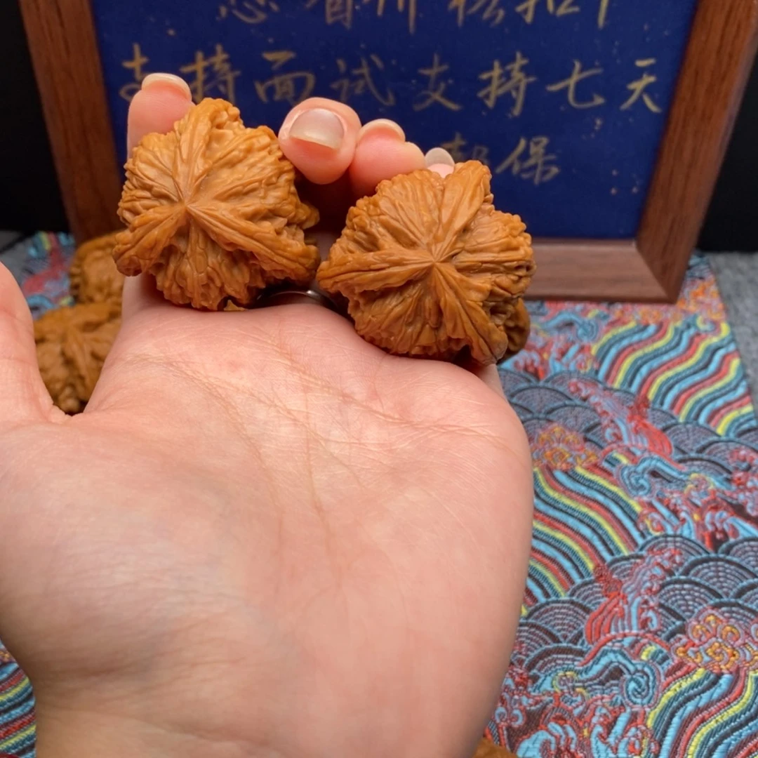 【闪购商品】E*O白狮