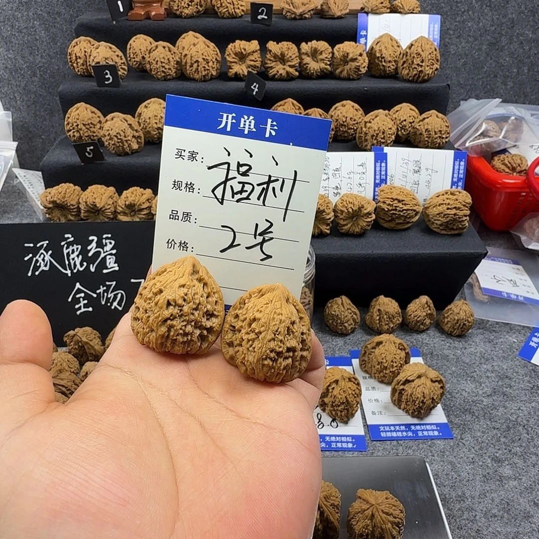 核桃福利2号（随机尺）