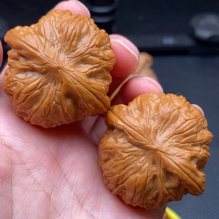 木质类战战尺寸40.5