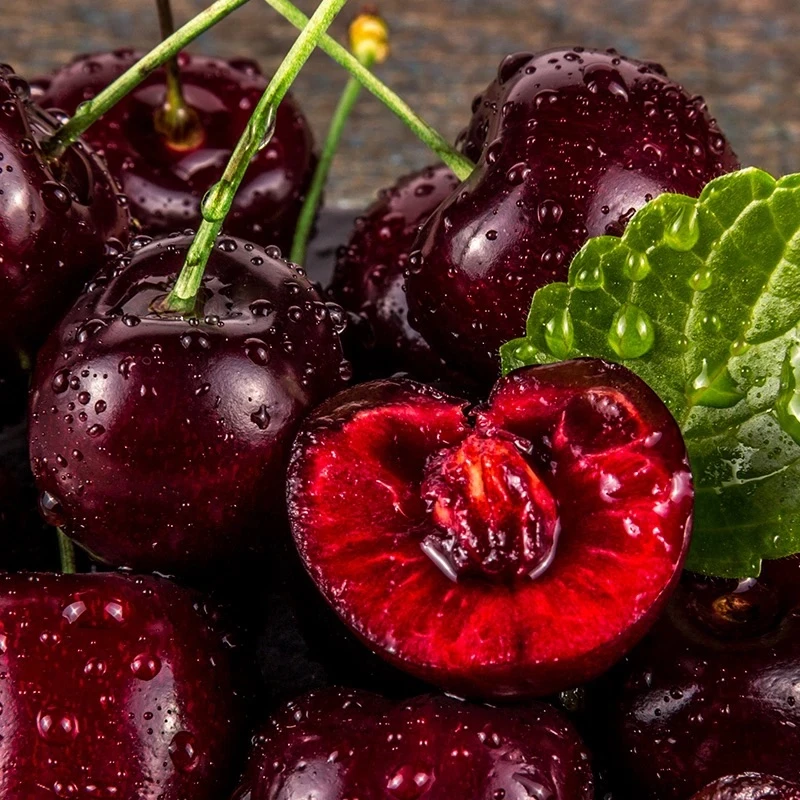 【5斤原箱】智利进口桑提娜海运车厘子内附果径卡2JD-4]D京东顺丰