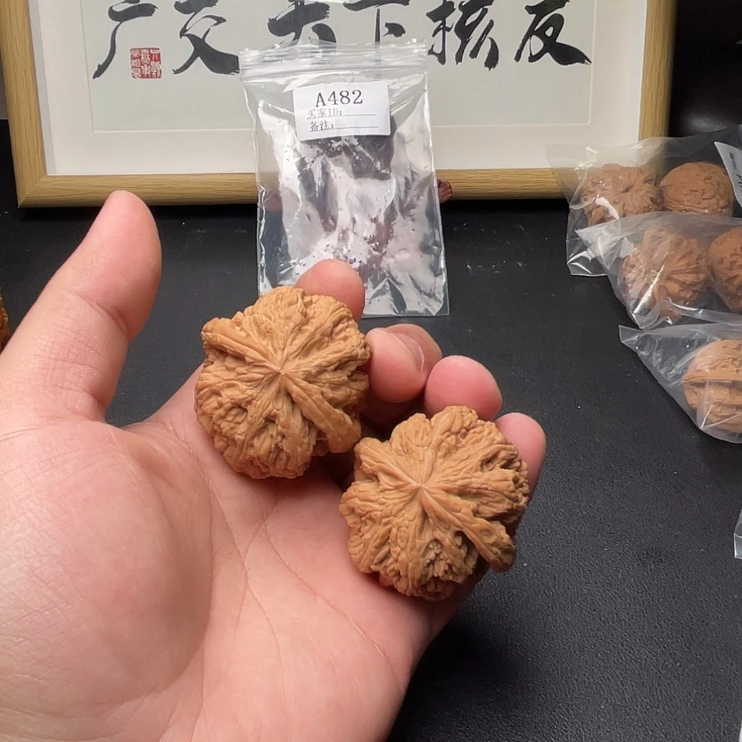 A482粗筋45尺微微水尖