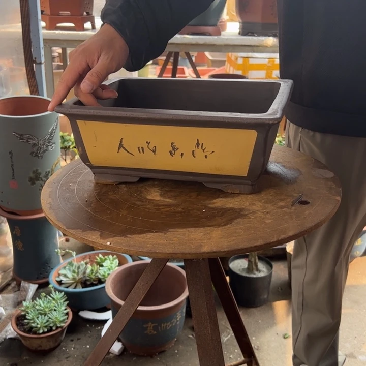 31黄色马槽花盆花盆花盆