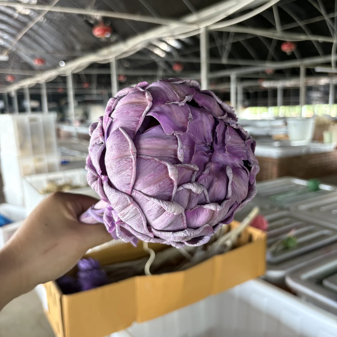 （工厂直播专用链接）洋蓟大单头永生花1支