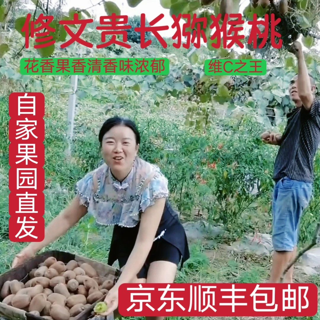 贵州修文贵长猕猴桃头茬鲜果上市香甜多汁果肉【精品礼盒24枚装】