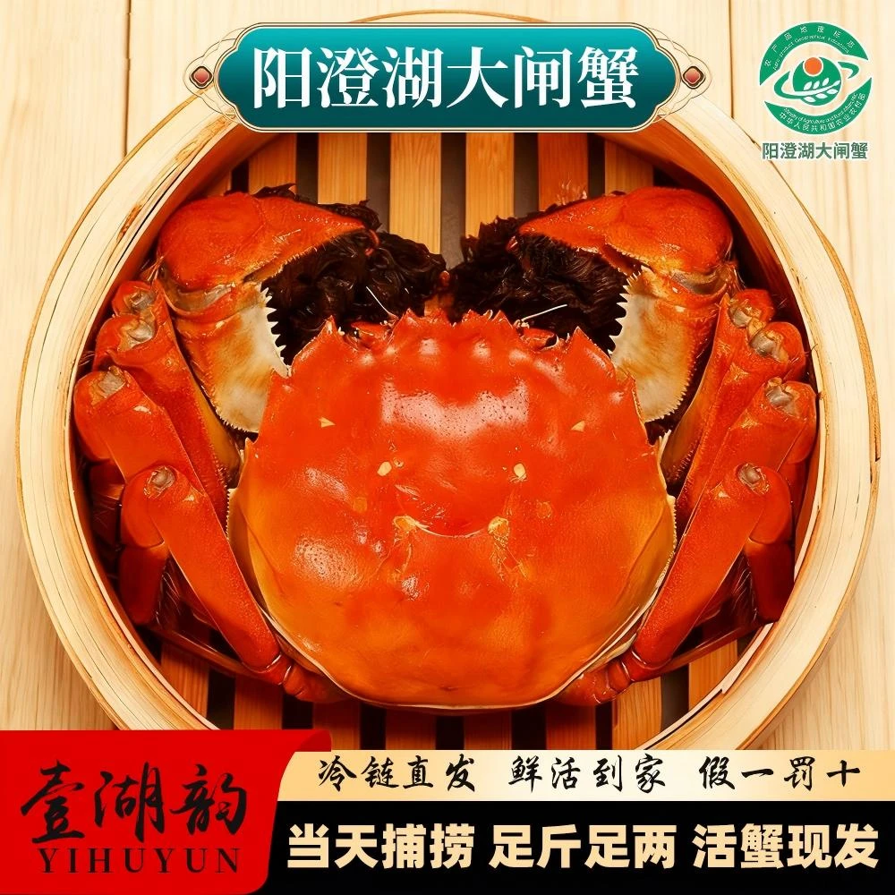 壹湖韵【活蟹】正宗阳澄湖大闸蟹活水塘养全母3两10只装