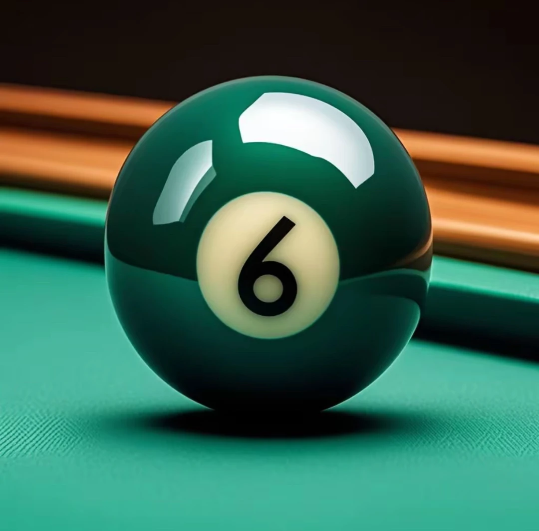 金九台球器材推推乐台球器材配件台球杆中式八球黑八