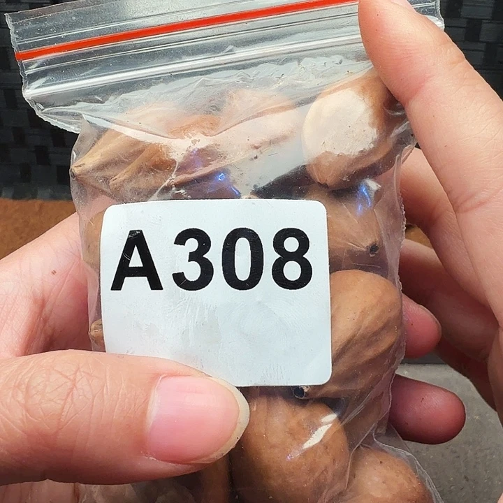 七***啊橄榄核手串/手链橄榄