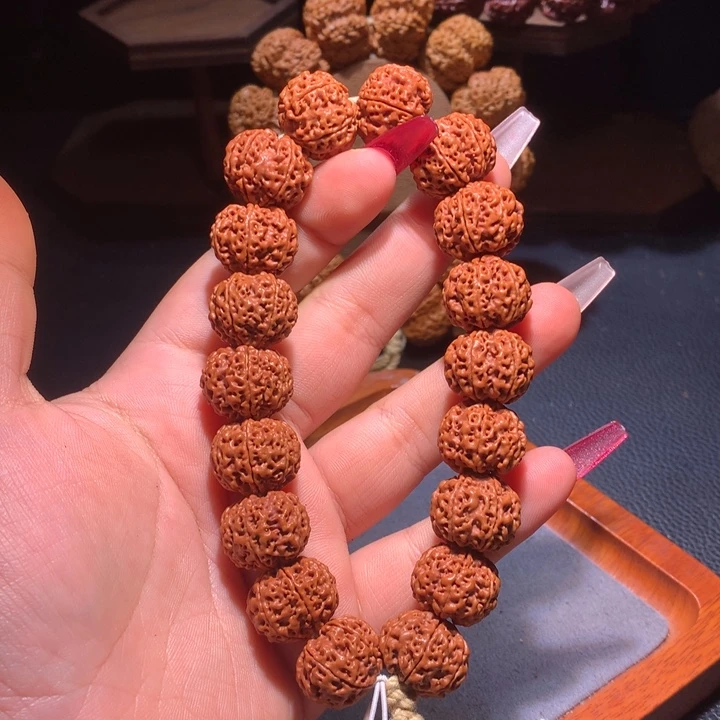 菩提籽类18+六星蜂王