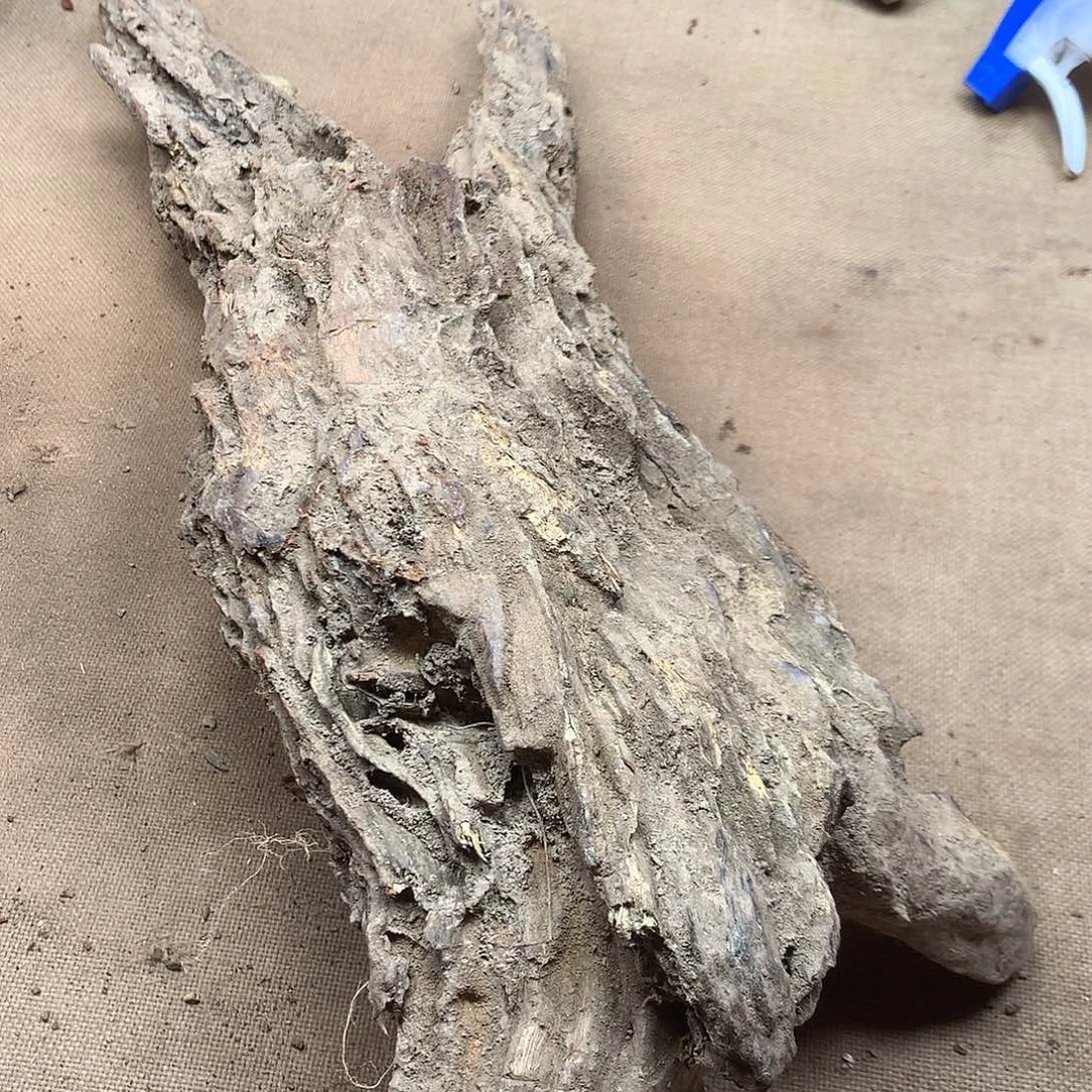 盛***蛋黄花梨/降香黄檀原材料品香料