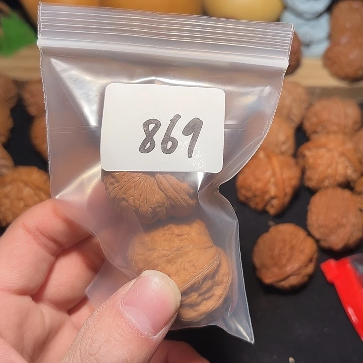 把件文玩核桃39 ➕尺  元宝       869