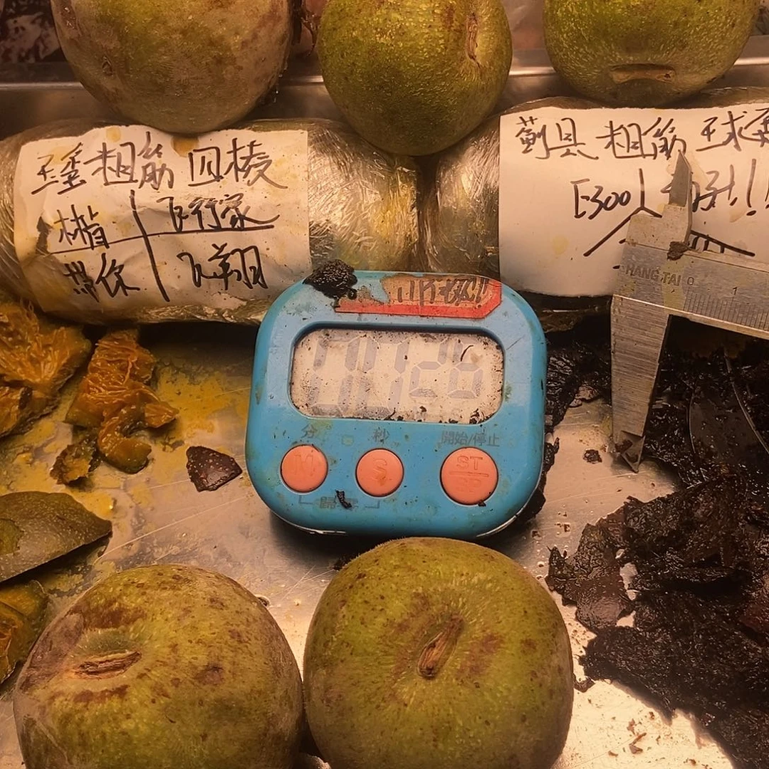 用***9不会很后悔不后悔姐姐宁宁