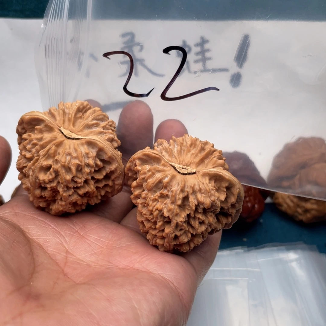 核桃357357775353757756765