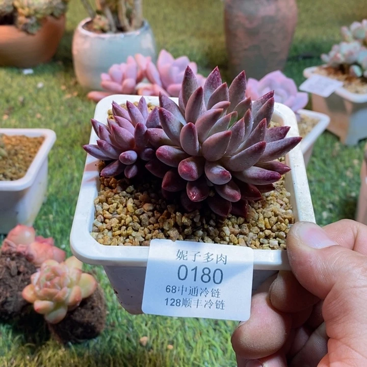 0180啊啊啊啊啊啊啊啊啊啊啊啊