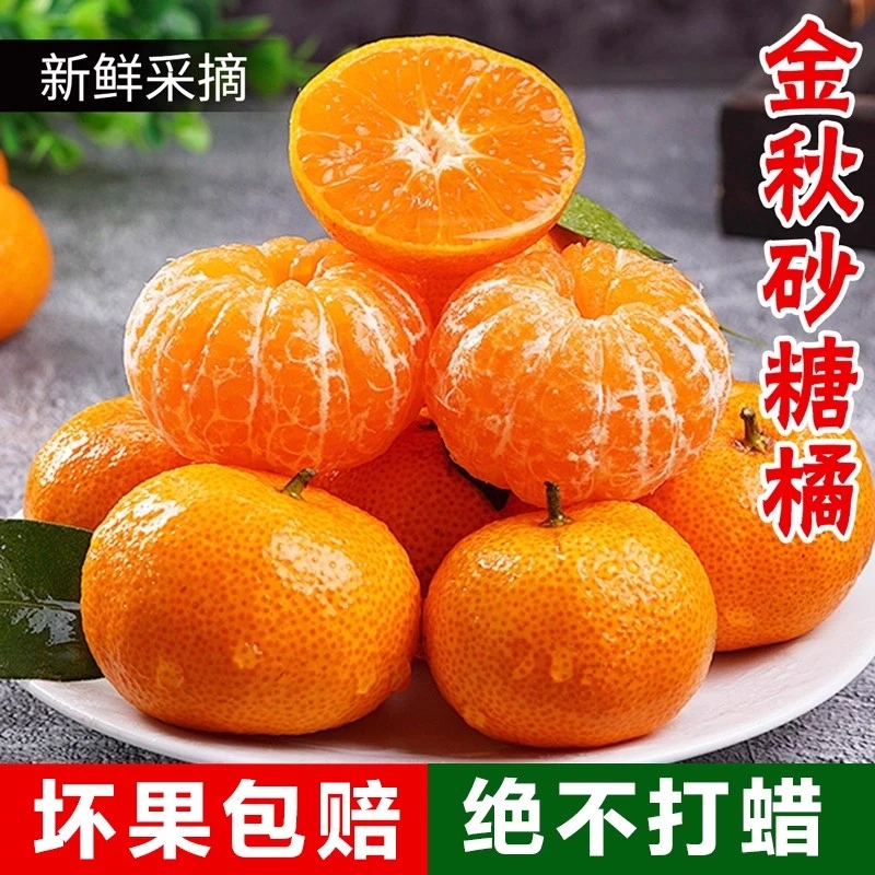 【5斤沙糖橘】正宗广西金秋砂糖橘皮薄多汁应季纯甜沙糖桔