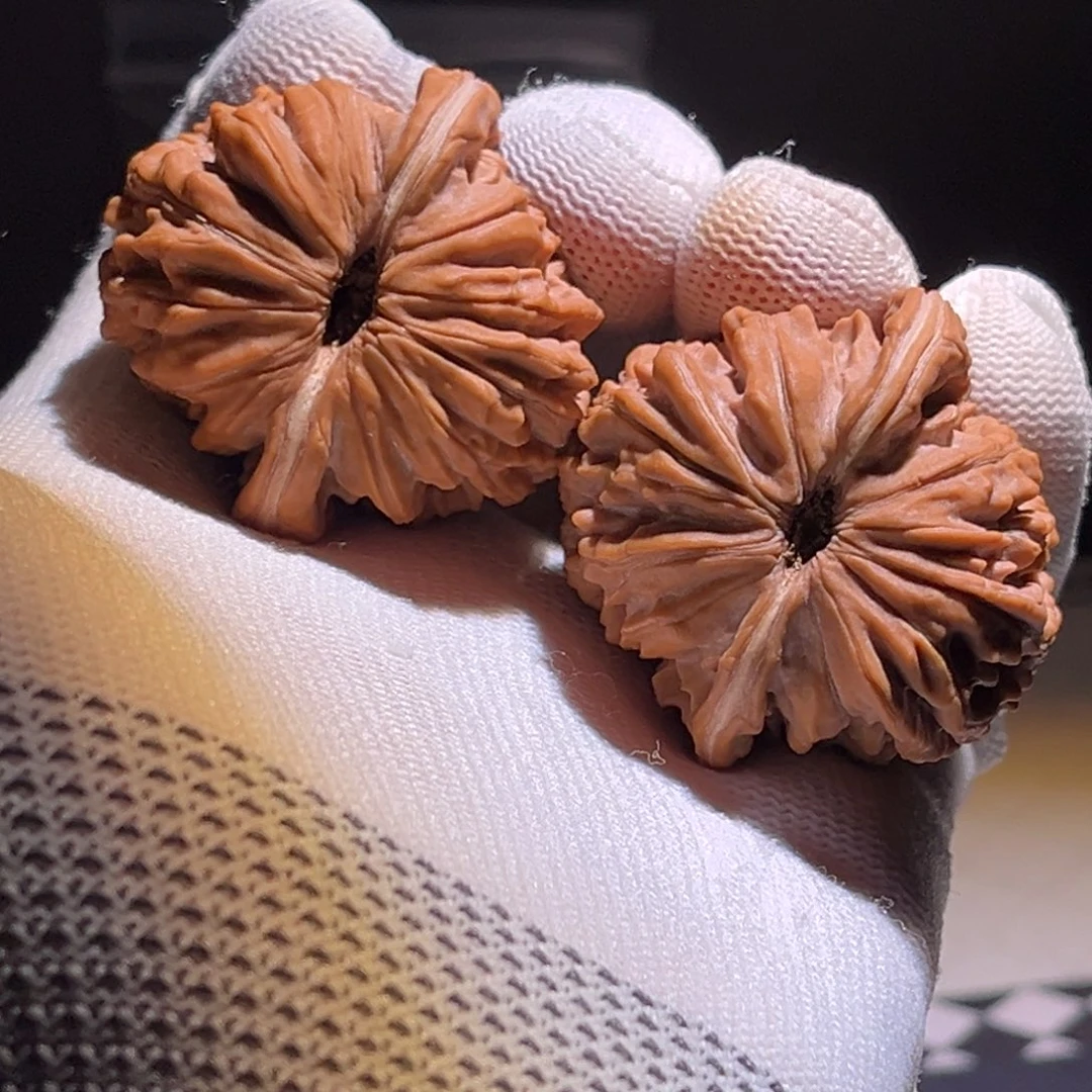 途***达全品。42尺。全品。
