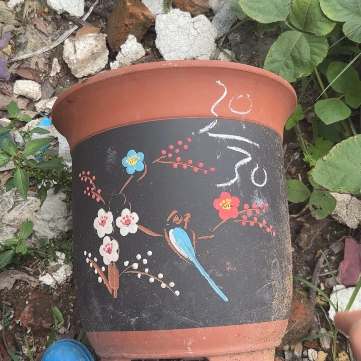 紫砂花盆紫砂的花