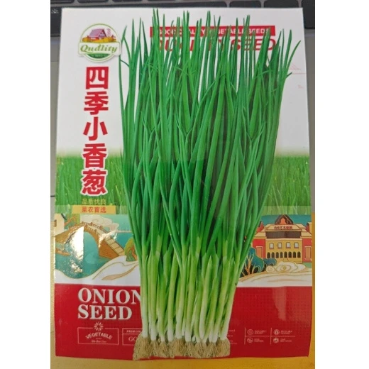 【满5包包邮】紫微星油菜 大叶菠菜可选蔬菜种子菜籽耐热