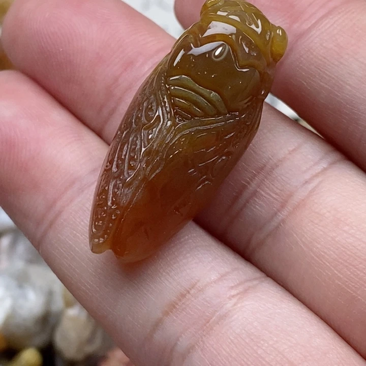 颈饰未镶嵌硅化珊瑚（珊瑚玉）小