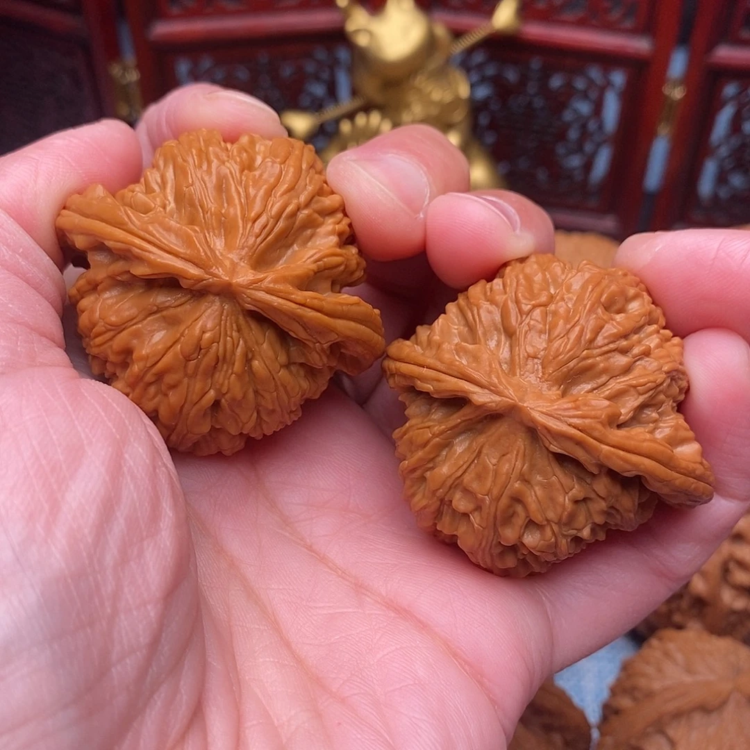 文玩核桃把件全品绝配白狮子44尺