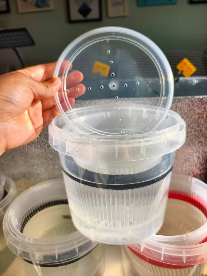 DIY孔雀鱼隔离盒繁殖罐孵化盒孵化器缸外繁殖罐母鱼产房