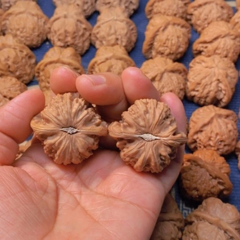 【闪购商品】吊坠文玩核桃π*π白狮子40