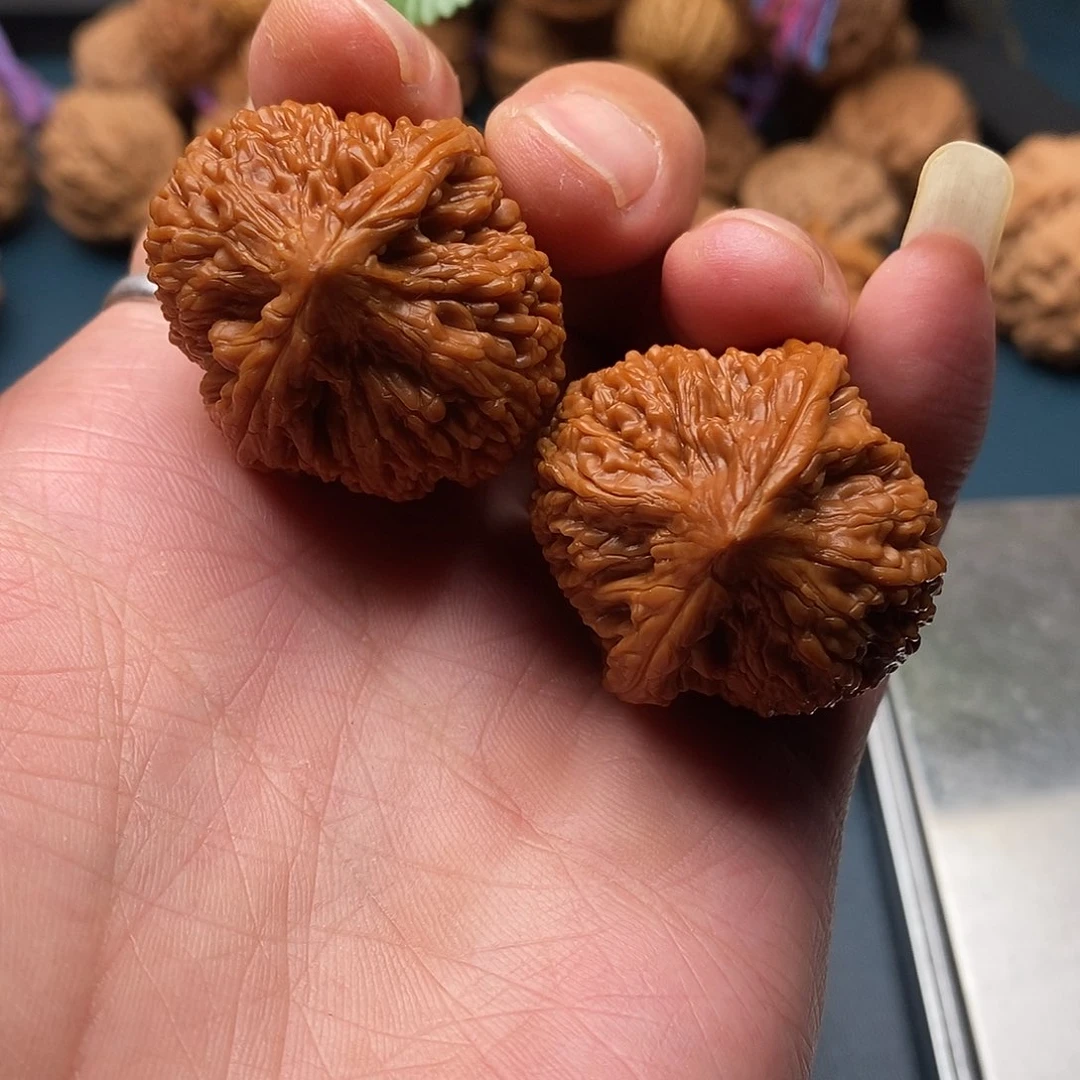 文玩核桃大蒜头33全品