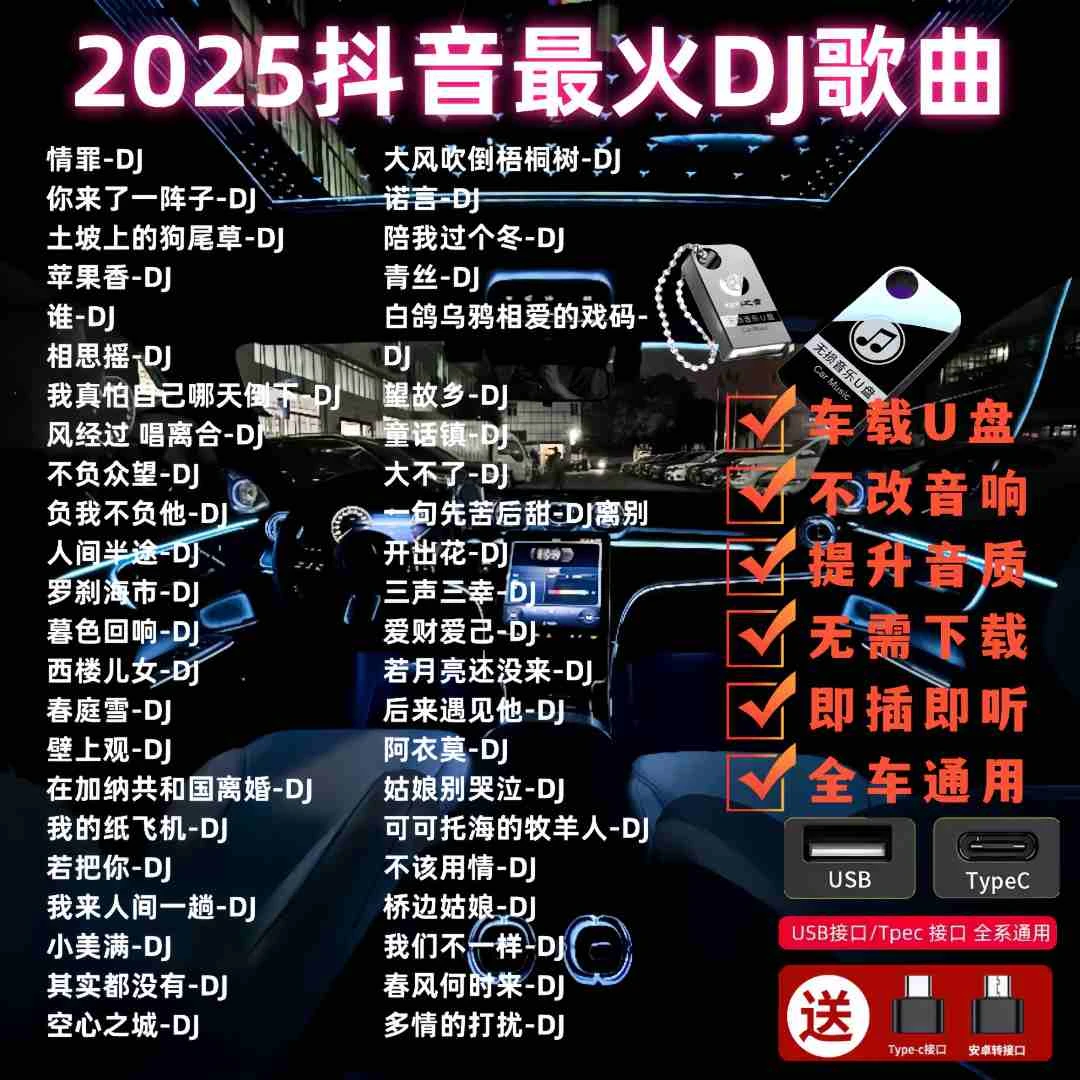 歌曲u盘2025最新款最火抖音热门dj嗨曲劲爆dj高端无损音质车载u盘