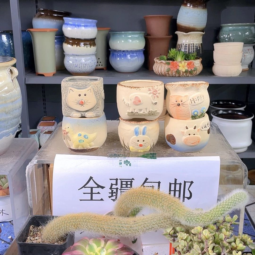 多肉小花盆六个一组