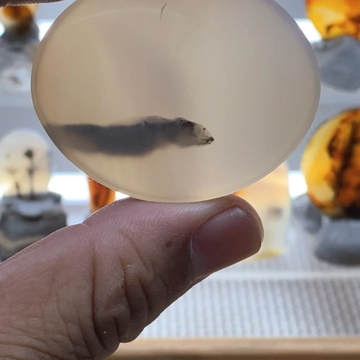 未镶嵌颈饰玛瑙/玉髓