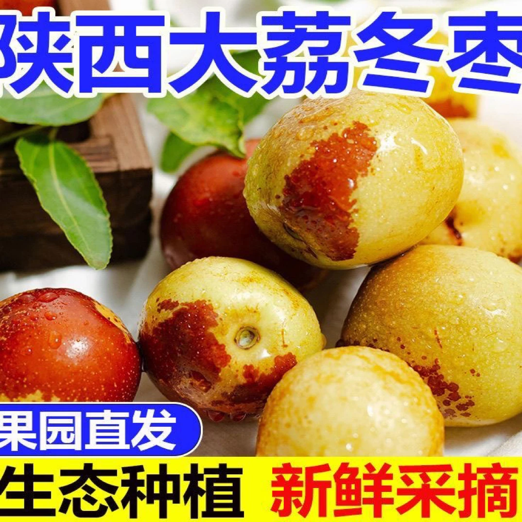 BL3陕西大荔冬枣现摘新鲜当季水果脆甜多汁产地直发