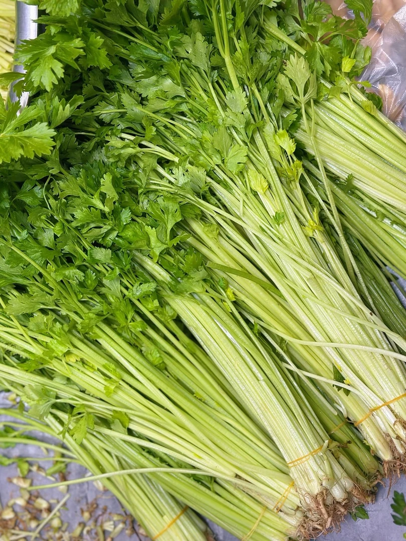 崇明岛本地小香芹圆叶趴地小菠菜