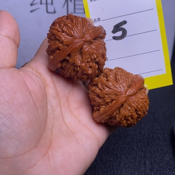 文玩核桃把件5/42白狮子色差