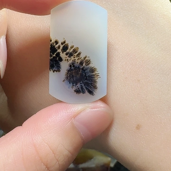 未镶嵌玛瑙/玉髓珠宝奇石