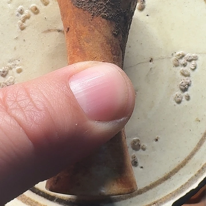 雨***虹福利福利福利多多福利