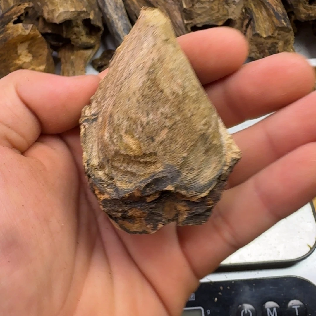 沉香沉香碎屑奇楠大树丁多样性发货
