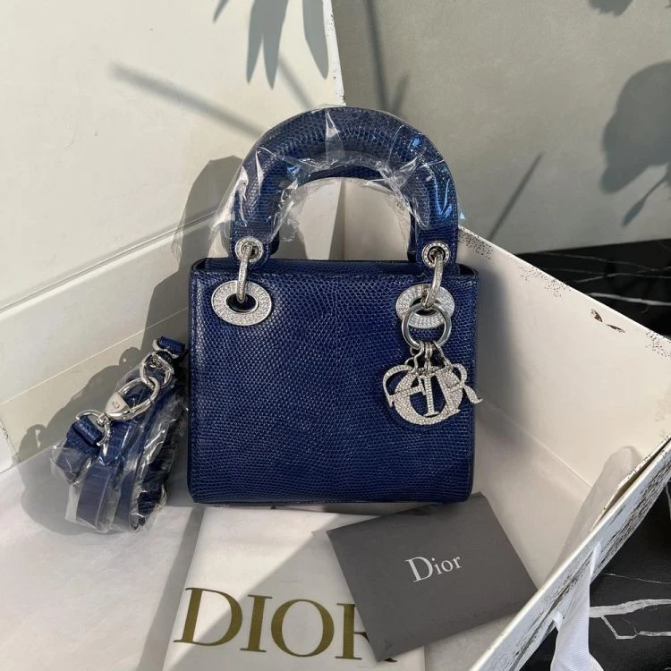 99新/迪奥/包包/[251118EVWC]/C8351232903