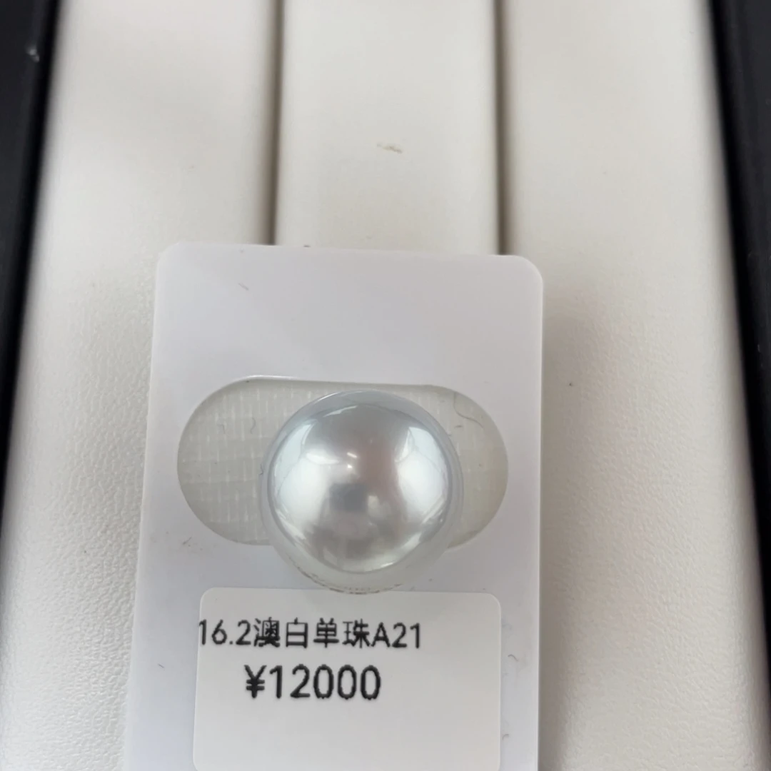 未镶嵌海水珍珠裸珠澳白海水珍珠裸珠16.2mm