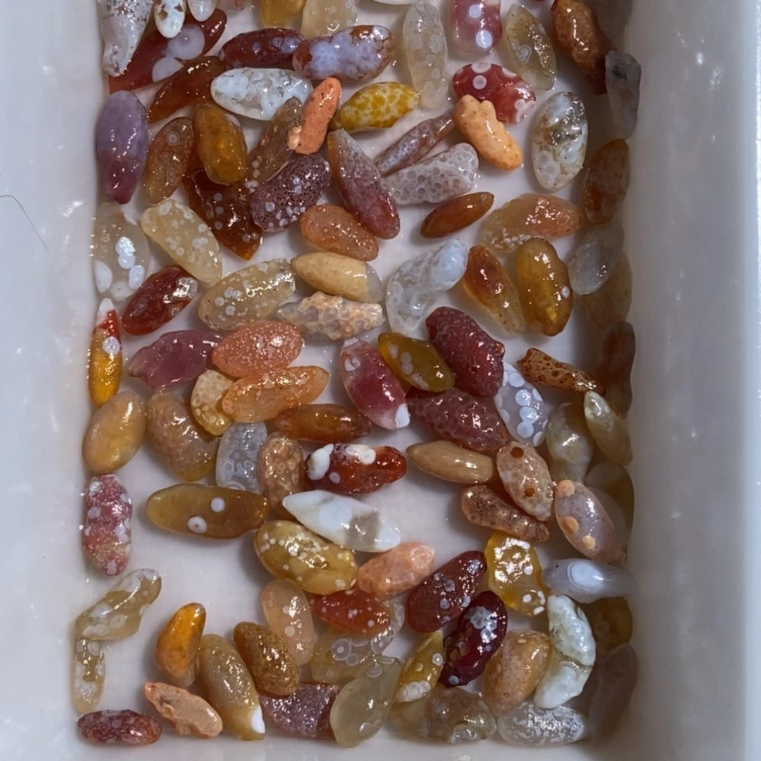 *****阿拉善花眼小鱼鱼缸石