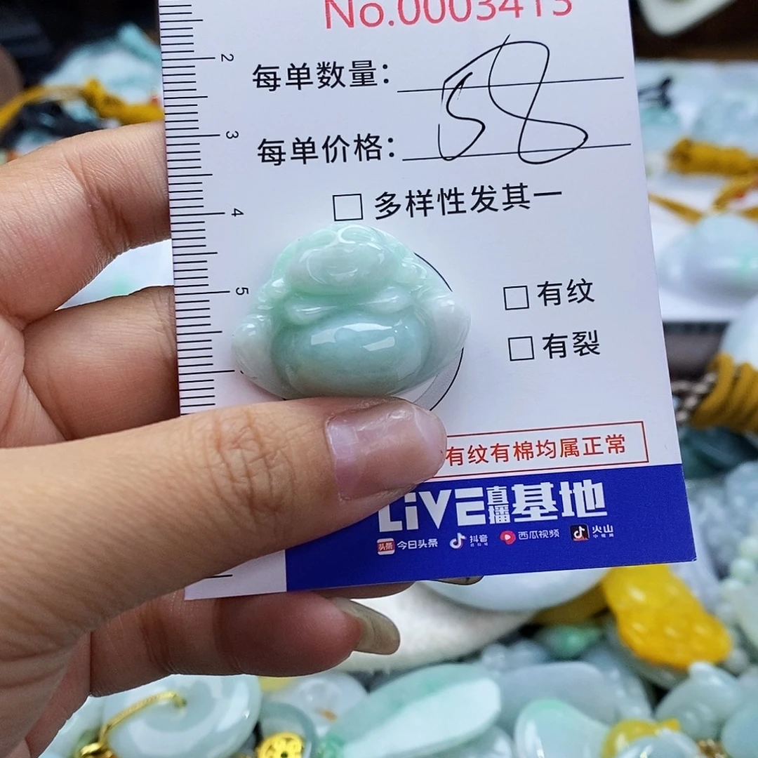 翡翠未镶嵌颈饰3413