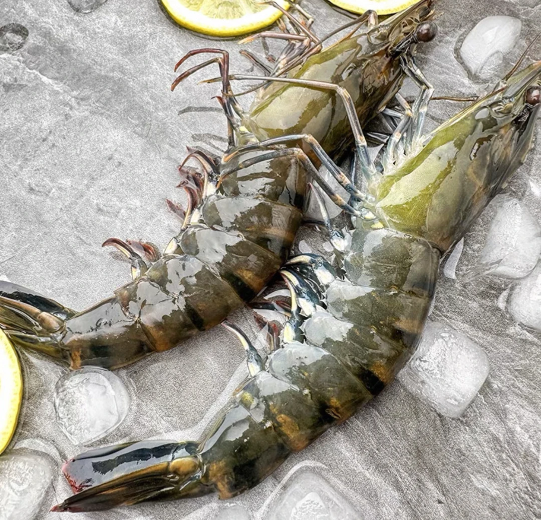 【保鲜不保活】大 黑虎虾  2斤-5斤 11-14只左右/每斤