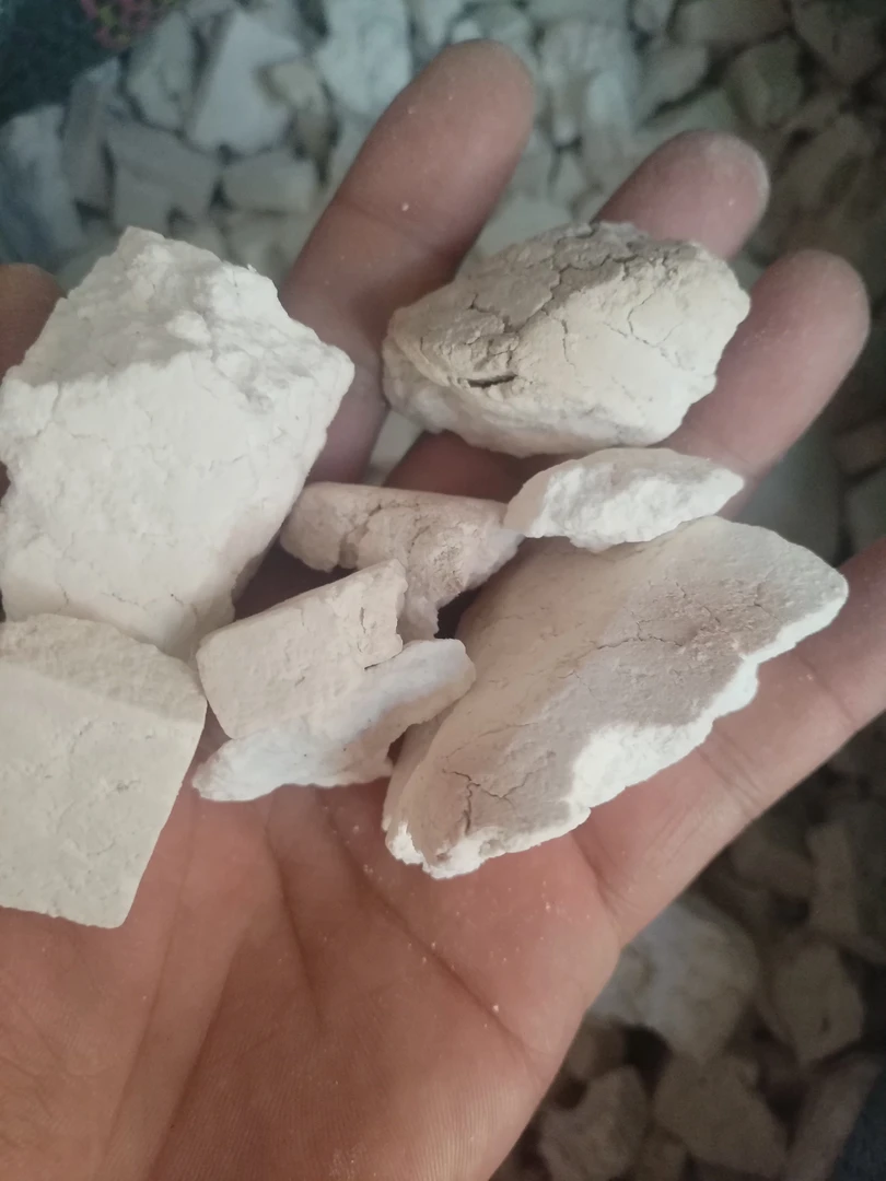 土特产≈[≈伏≈]非香菇