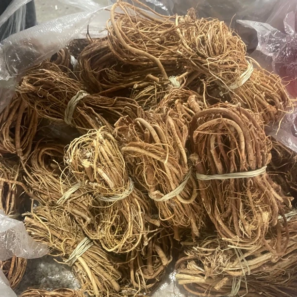 云南土特产—五指毛桃
